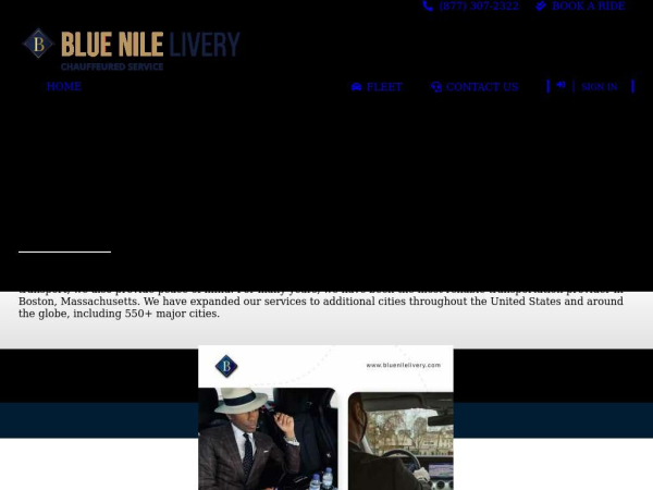 bluenilelivery.com