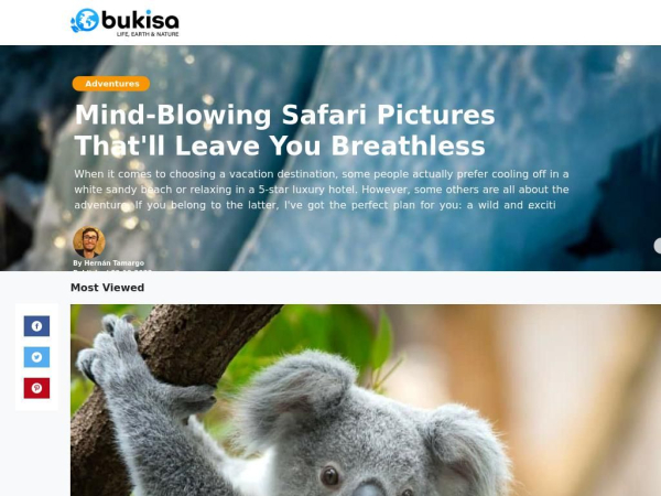 bukisa.com