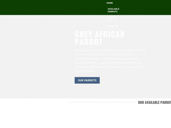 greyafricanparrot.com