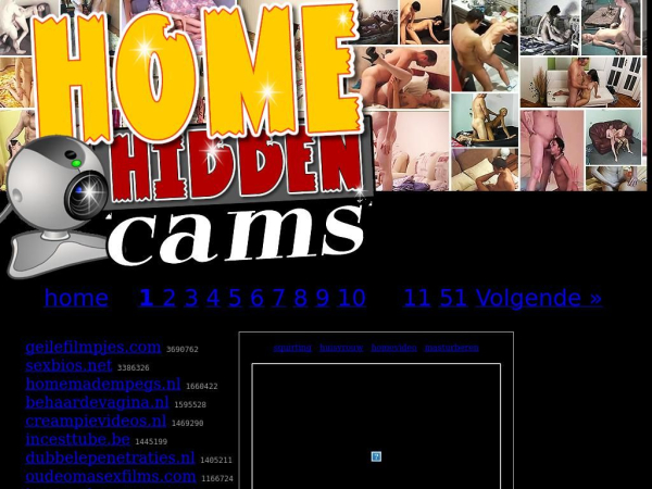 homehiddencams.nl