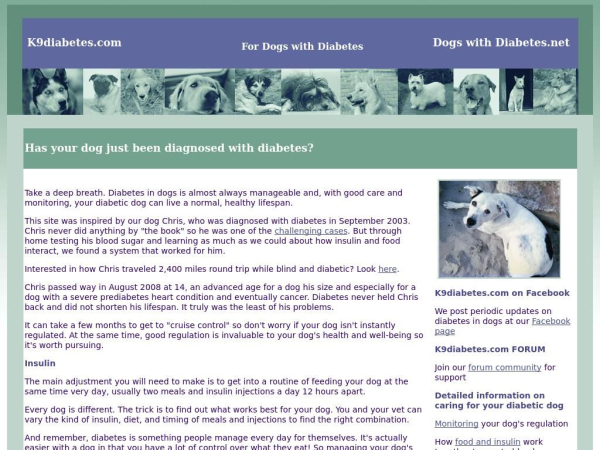 k9diabetes.com