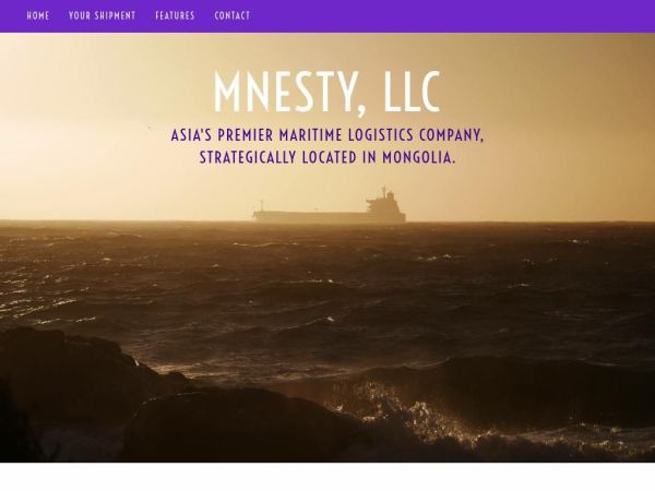 mnesty.com