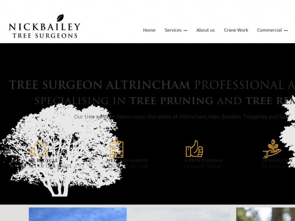 nickbaileytreesurgeon.co.uk